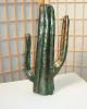 600mm cactus